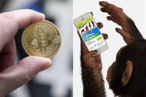 Bet on the world’s first regulated Bitcoin jackpot .